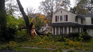 Hurricane Sandy Downs Tree in Pelham New York 2012